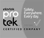 logo Protek